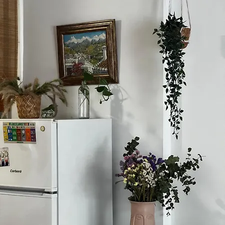 Mi Pequeno Rincon Mediterraneo Málaga